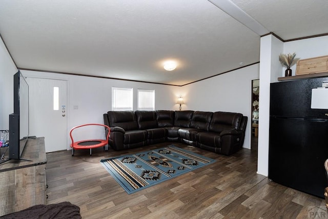 living area featuring ornamental molding and dark wood-type flooring