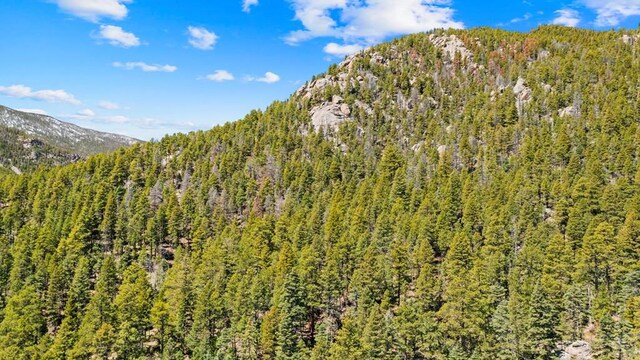 161 Highland, San Isabel, CO 81069 - photo 9