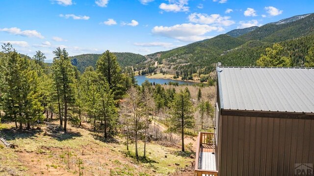 161 Highland, San Isabel, CO 81069 - photo 5