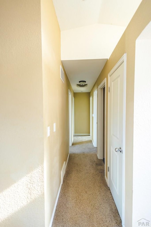 333 S Hacienda Del Sol Dr, Pueblo West, CO 81007 - photo 10
