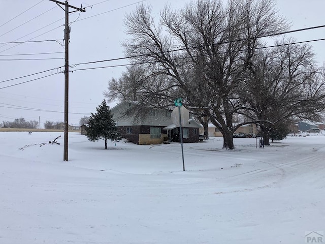 view of yard covered in snow