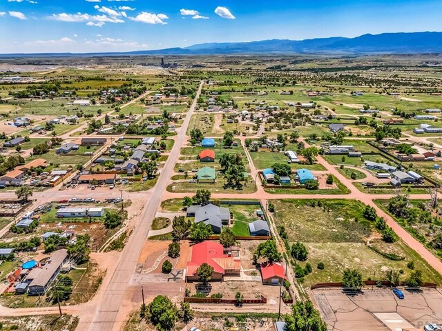 207 Fremont St, Penrose, CO 81240 - photo 34