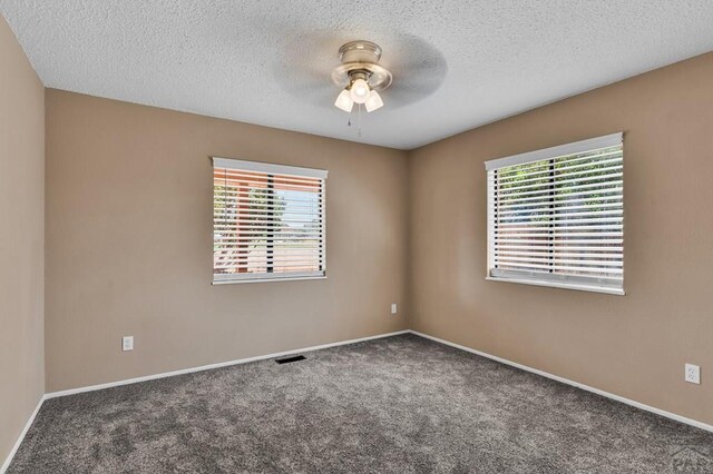 207 Fremont St, Penrose, CO 81240 - photo 14