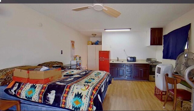 207 Fremont St, Penrose, CO 81240 - photo 22