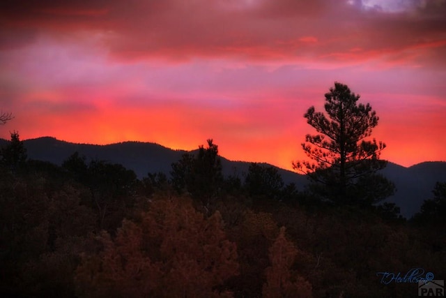840 County Rd 627, Gardner, CO 81040 - view of mountain backdrop with a forest