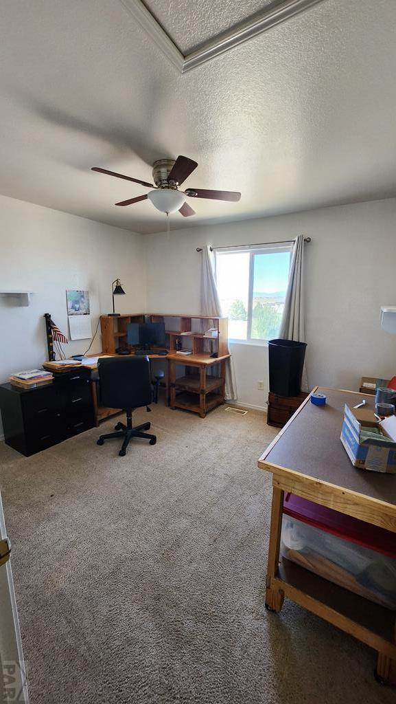 1327 N Blazing Star Ln, Pueblo, CO 81007 - photo 34