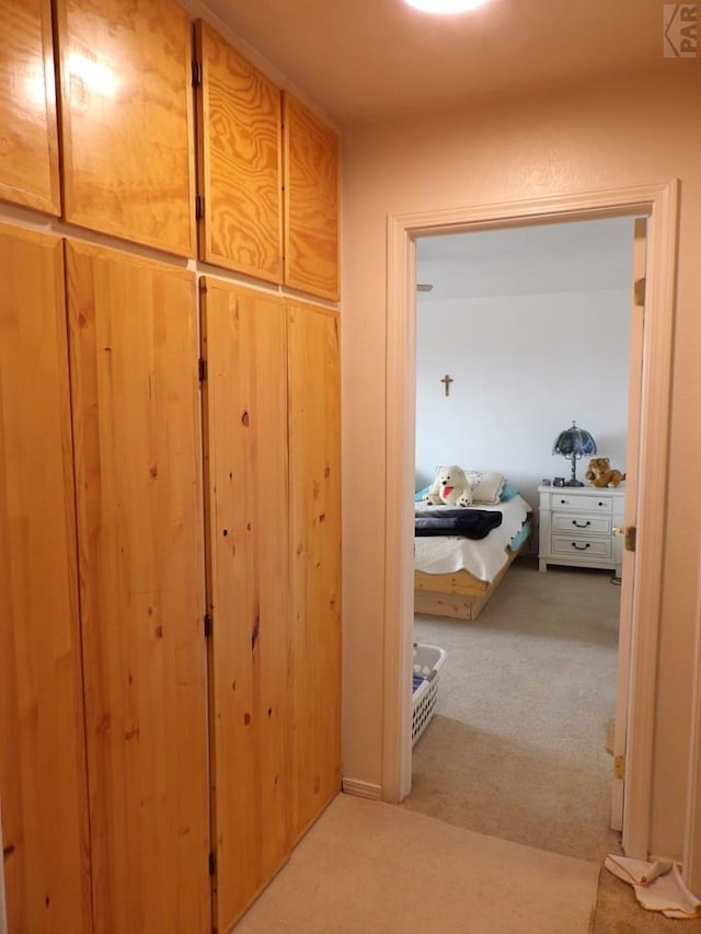 1327 N Blazing Star Ln, Pueblo, CO 81007 - photo 9