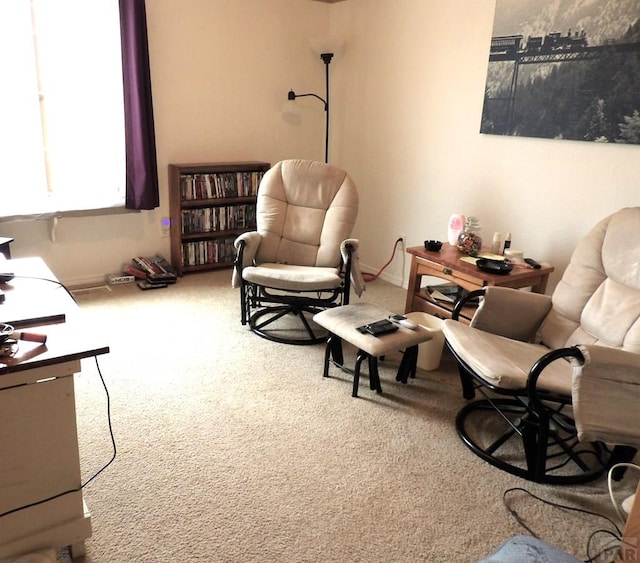 1327 N Blazing Star Ln, Pueblo, CO 81007 - photo 20