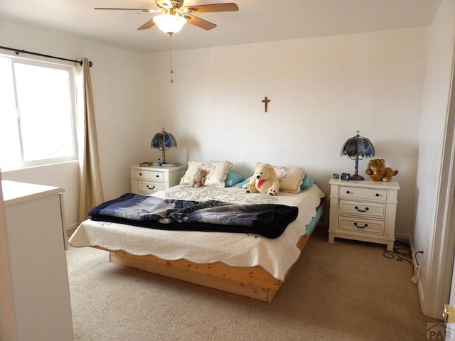 1327 N Blazing Star Ln, Pueblo, CO 81007 - photo 11
