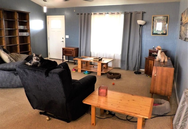 1327 N Blazing Star Ln, Pueblo, CO 81007 - photo 6