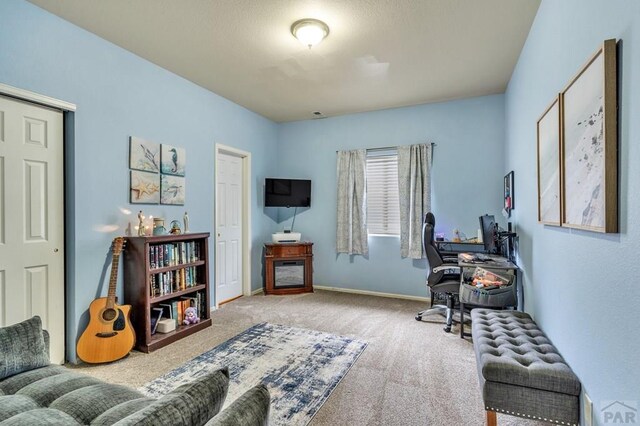 2816 Mirror Ave, Pueblo, CO 81005 - photo 15