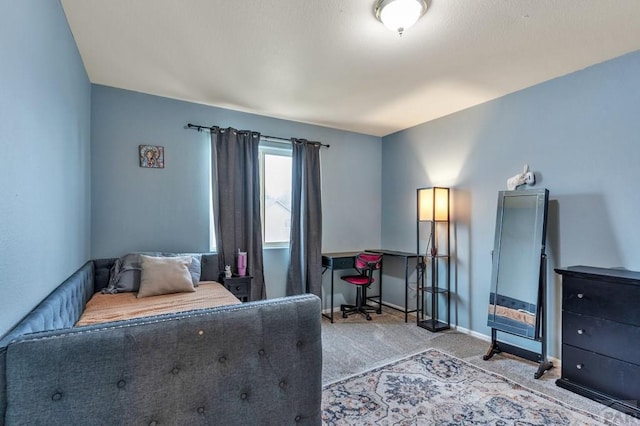 2816 Mirror Ave, Pueblo, CO 81005 - photo 24