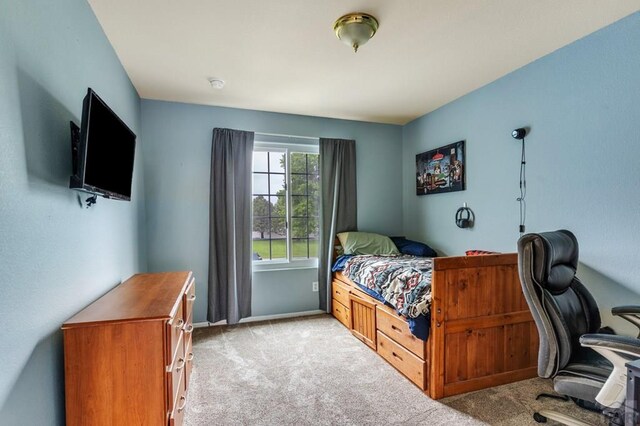 2816 Mirror Ave, Pueblo, CO 81005 - photo 22