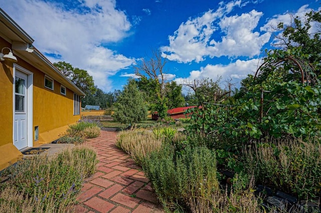 view of yard featuring a patio area