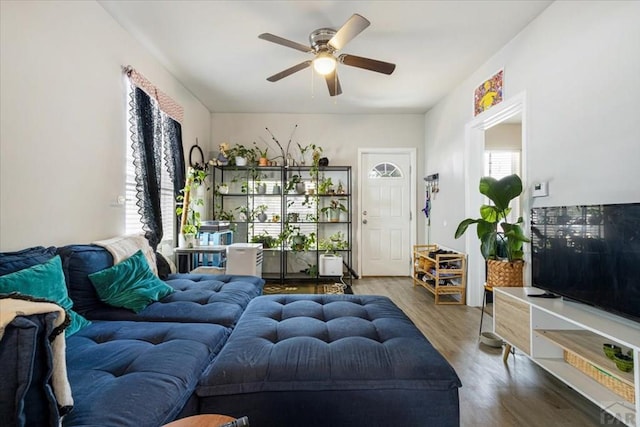 living room with wood finished floors and a ceiling fan