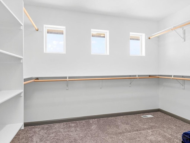 1327 Platteville Blvd, Pueblo West, CO 81007 - photo 24