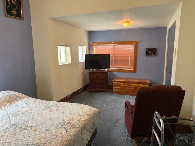 1204 E 6th St, Pueblo, CO 81001 - photo 37