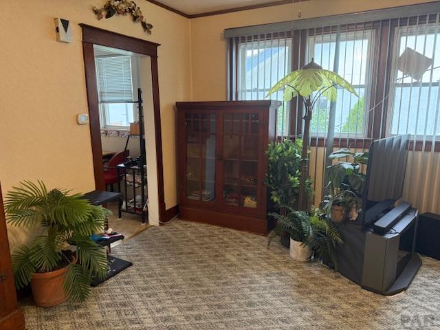 1204 E 6th St, Pueblo, CO 81001 - photo 19