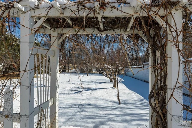 view of yard covered in snow