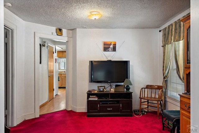 sitting room with baseboards and a textured ceiling