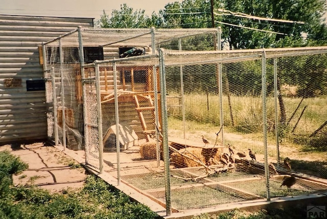 view of poultry coop