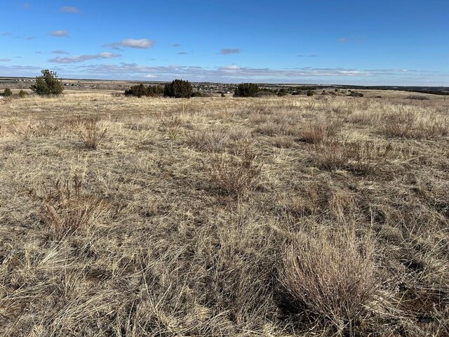 LOT239 Granada, Colorado City, CO 81019 - photo 4