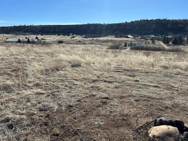 LOT239 Granada, Colorado City, CO 81019 - photo 3