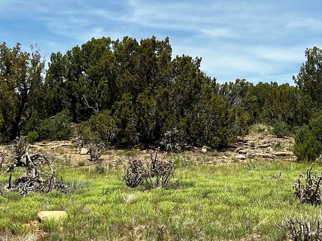 LOT589 La Deora Blvd, Walsenburg CO, 81089 land for sale