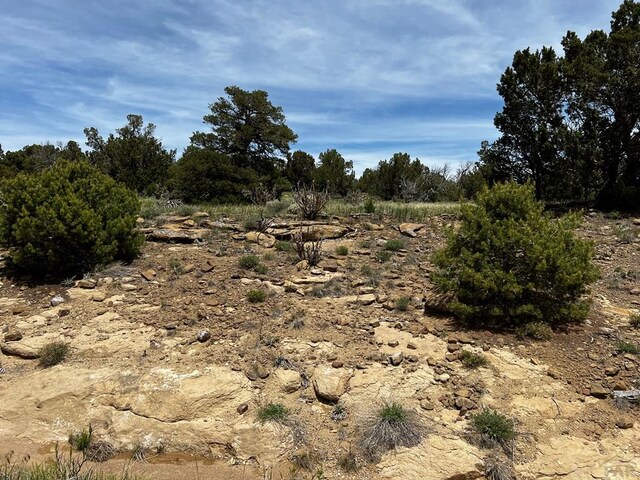 Listing photo 2 for LOT589 La Deora Blvd, Walsenburg CO 81089