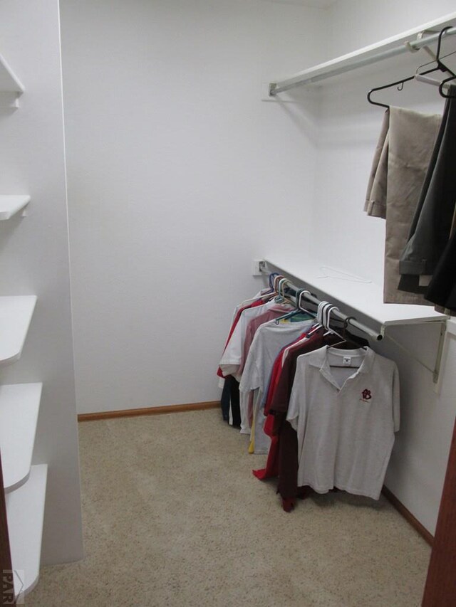 spacious closet featuring light colored carpet