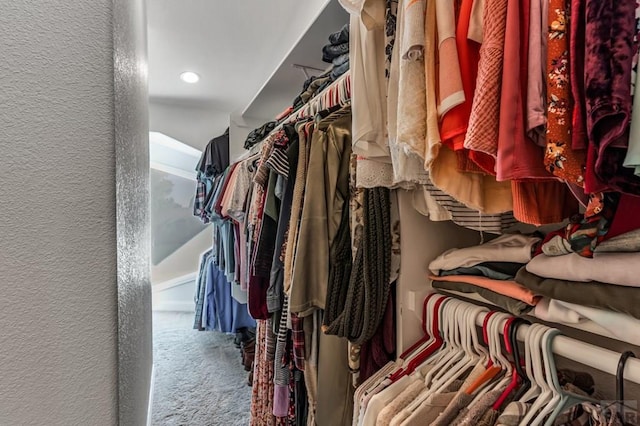 spacious closet featuring carpet flooring