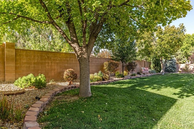 view of yard with a fenced backyard