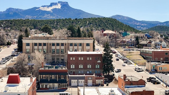 drone / aerial view featuring a mountain view