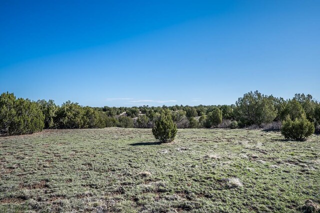 TBD Misty Lane, Rye, CO 81069 - photo 41