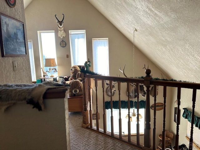 interior space with lofted ceiling, a textured ceiling, and carpet flooring