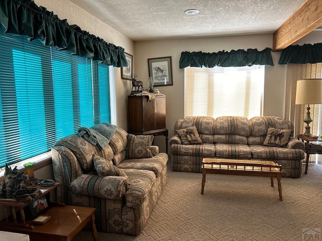 carpeted living area featuring a textured ceiling