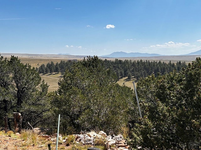 mountain view
