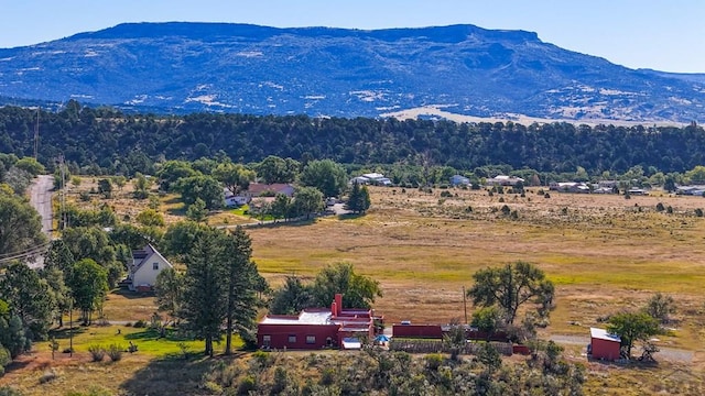 mountain view featuring a rural view