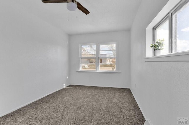 carpeted spare room with ceiling fan, baseboards, and a wealth of natural light