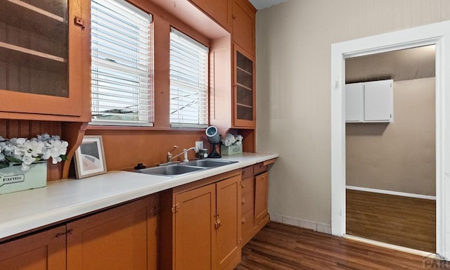 kitchen with glass insert cabinets, dark wood finished floors, light countertops, and a sink