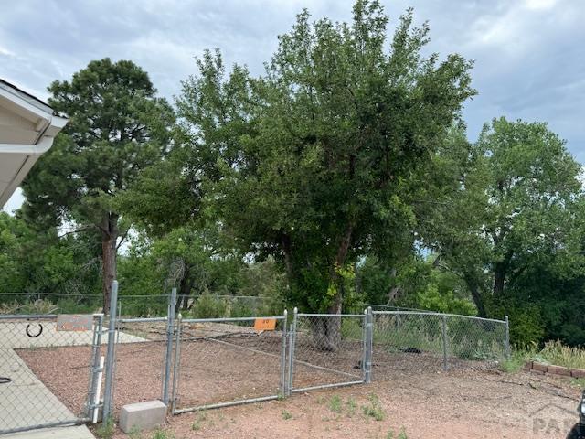 view of yard featuring fence and a gate