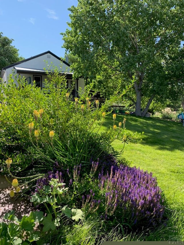 706 Avondale Blvd, Avondale, CO 81022 - photo 43