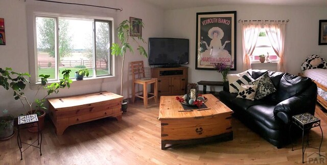 living room with wood finished floors