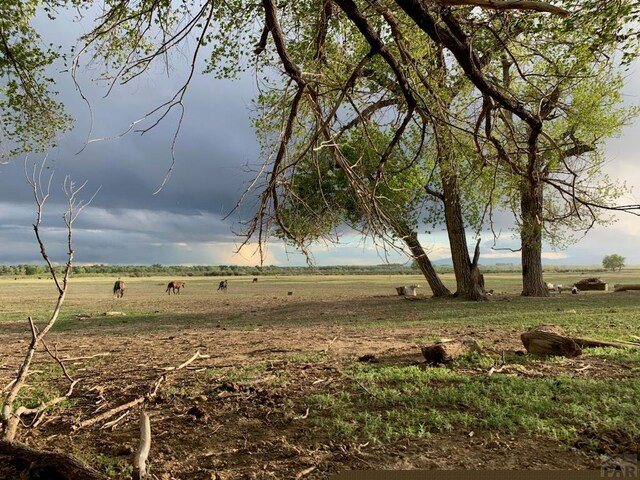 view of nature with a rural view