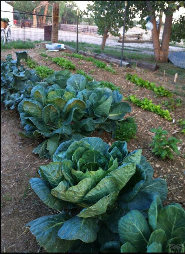 exterior space featuring a vegetable garden and fence