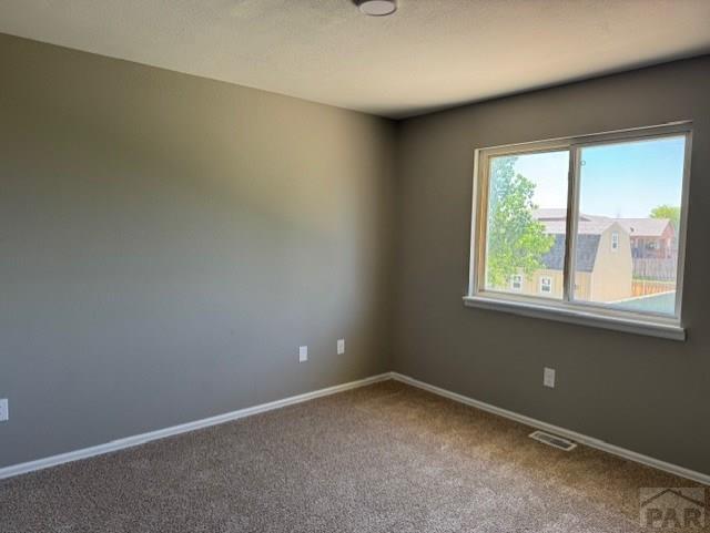 236 E Beshoar Dr, Pueblo West, CO 81007 - photo 7