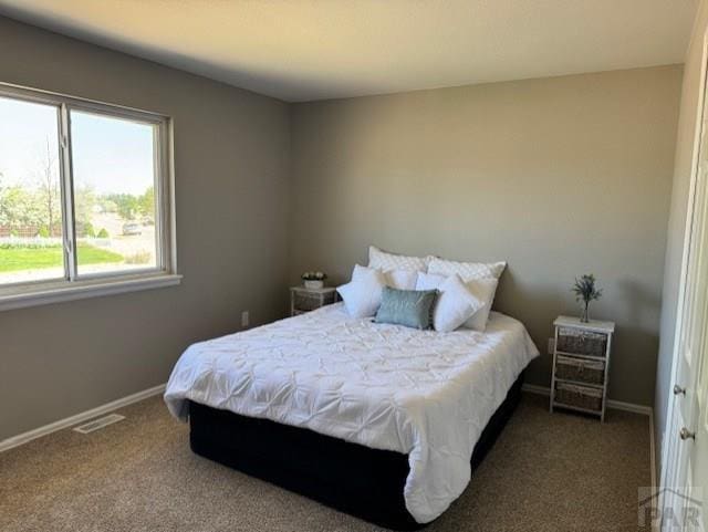 236 E Beshoar Dr, Pueblo West, CO 81007 - photo 6