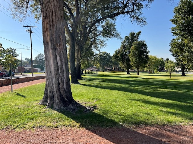 view of community featuring a lawn