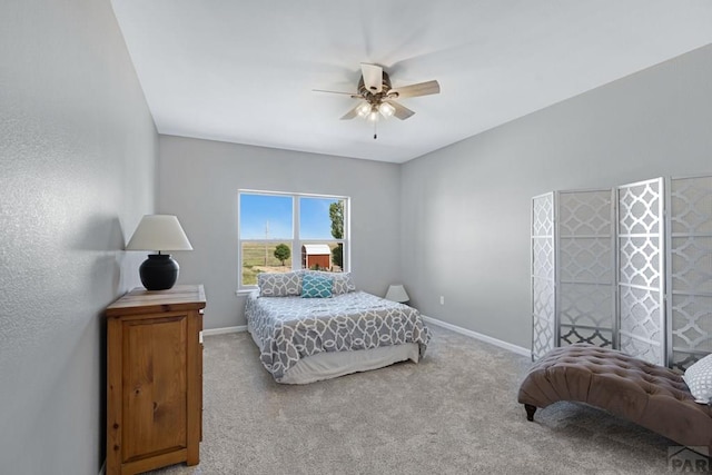 980 N Purcell Blvd, Pueblo West, CO 81007 - photo 15
