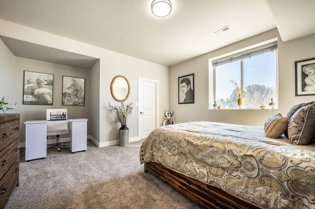 740 S Galileo Dr, Pueblo West, CO 81007 - photo 40
